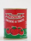 Cantori